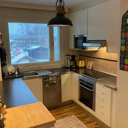 Premier With Sauna Nearby Airport Hotel Vantaa