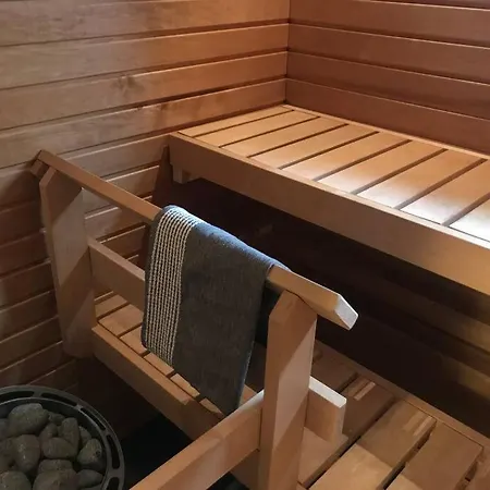 Premier With Sauna Nearby Airport Hotell